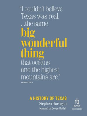 cover image of Big Wonderful Thing